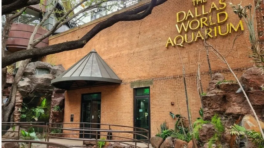 The-Dallas-World-Aquarium-body-img 