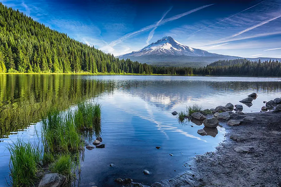 Timothy Lake