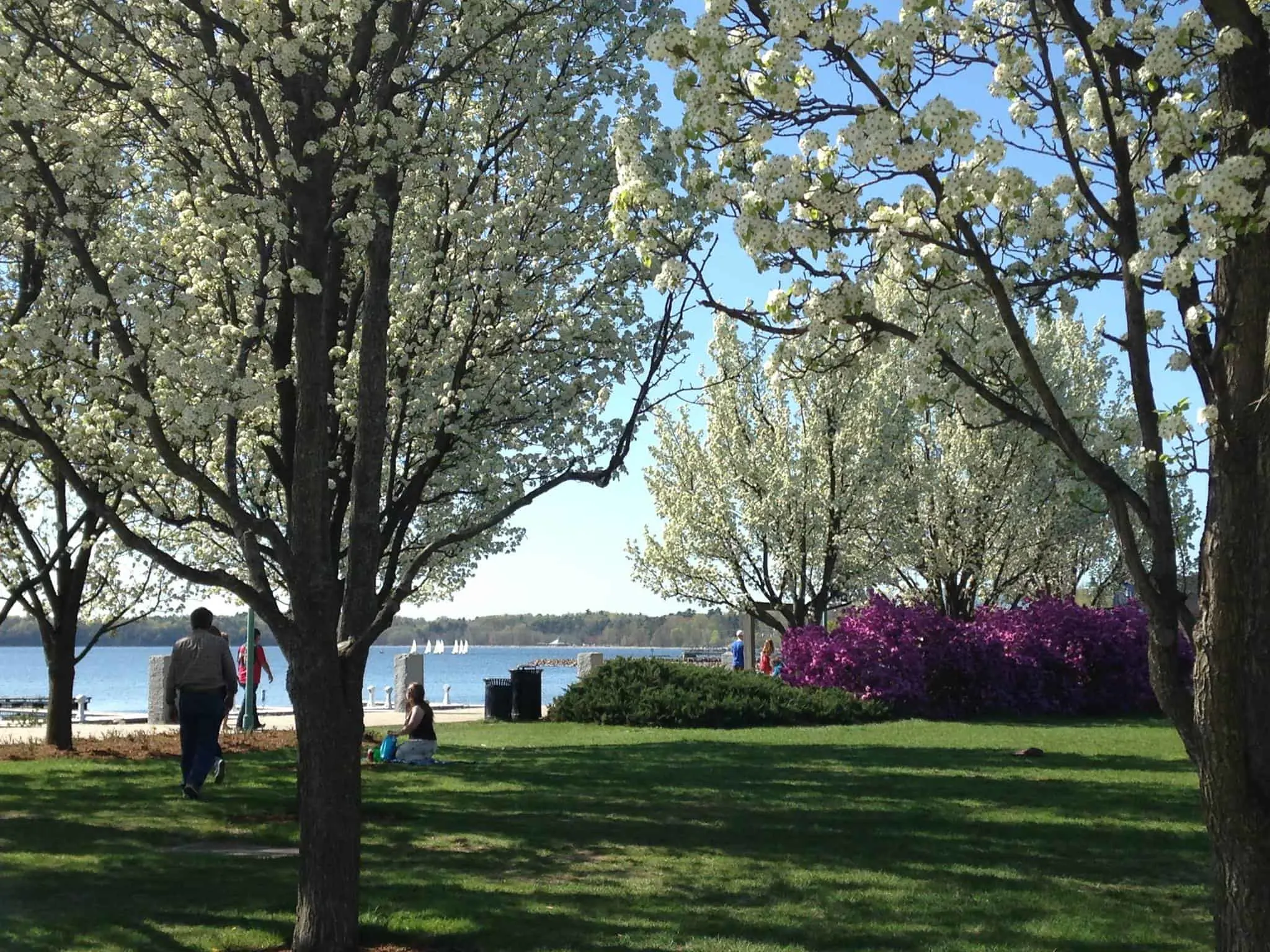  Waterfront Park. image