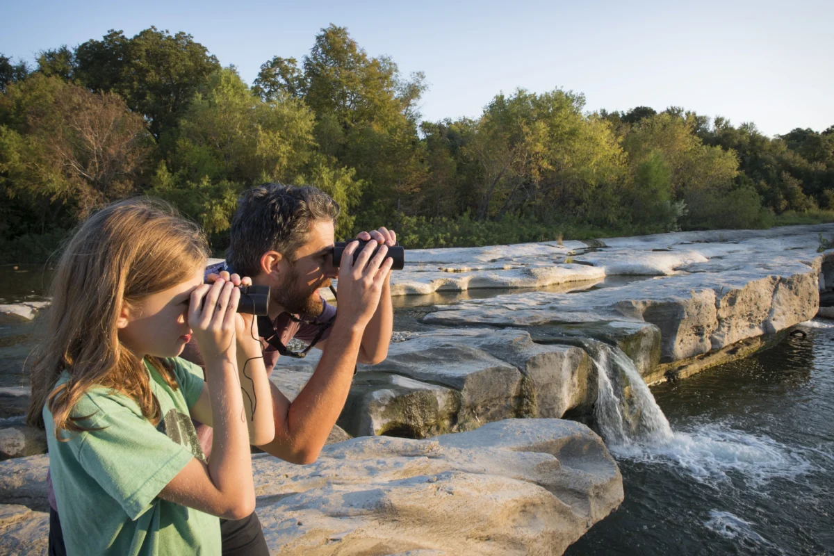 Wildlife Watching and Photography
