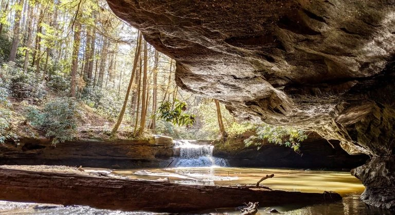 creation falls