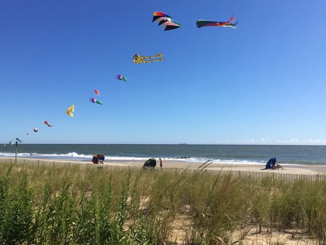 Delaware Seashore State Park