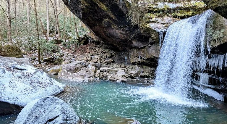 dog slaughter falls