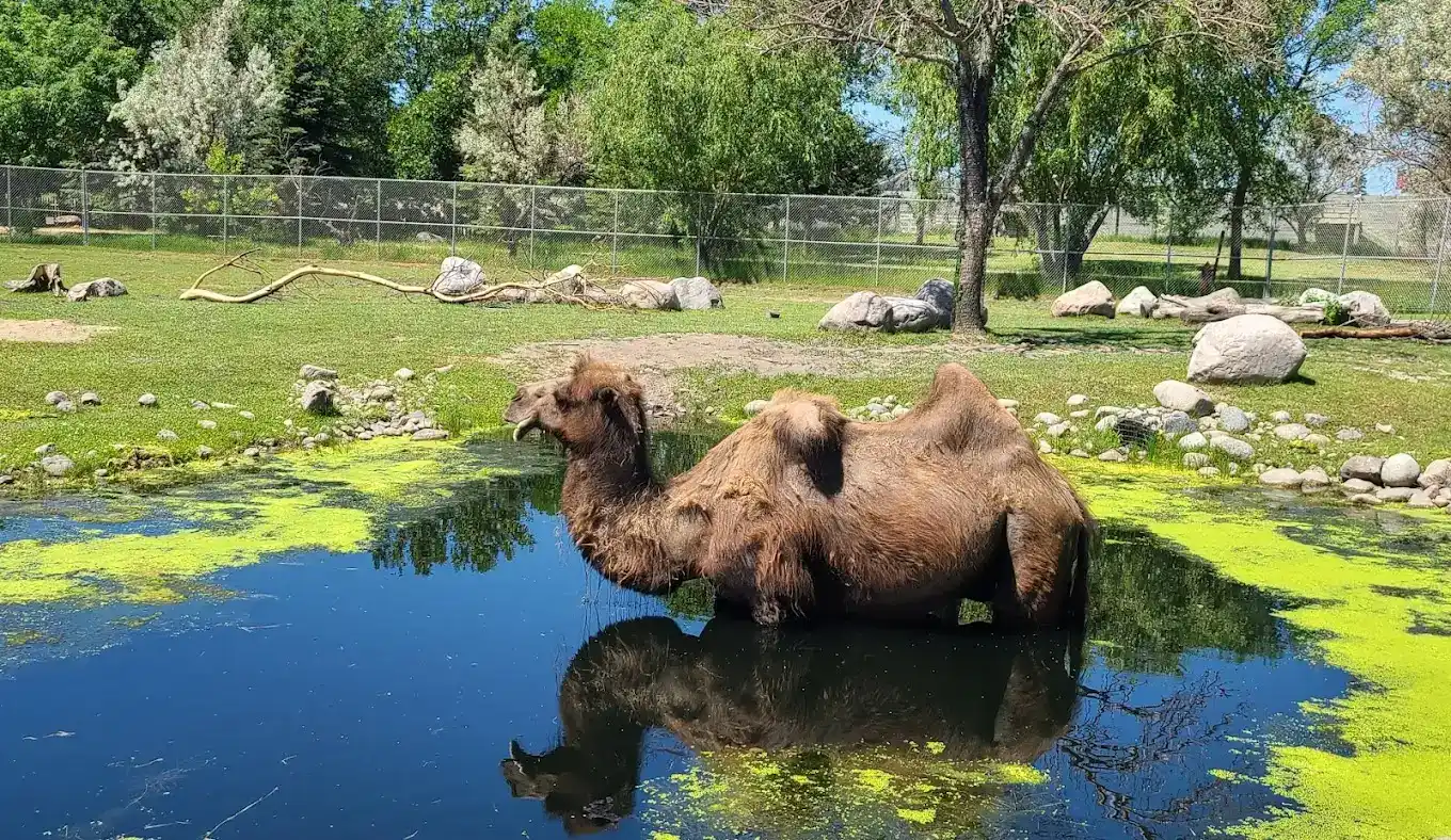 Red River Zoo