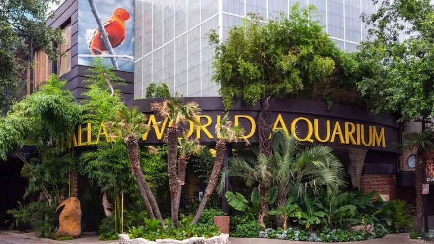 Dallas-World-Aquarium-body-img.